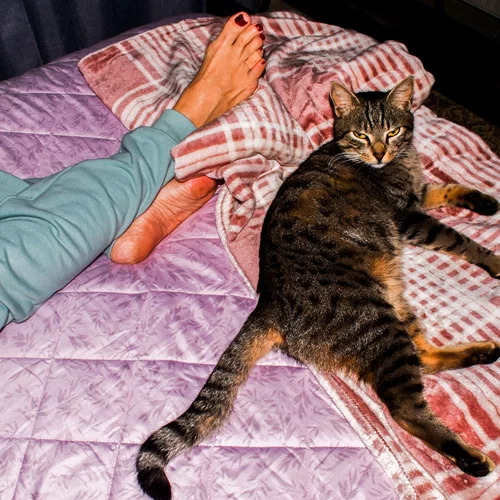 "Soft Walls": Ένα πολυεπίπεδο πρότζεκτ αφιερωμένο στη φωτογραφία