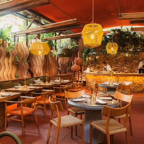 'Nikkei Floresta', επιστροφή στον κήπο