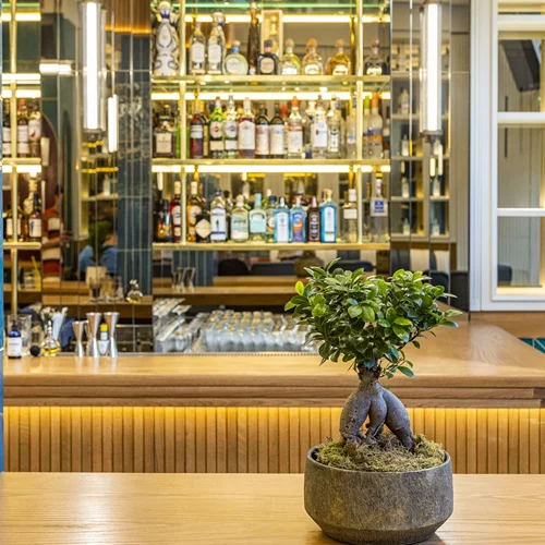 Η φθινοπωρινή φουρνιά των αθηναϊκών μπαρ