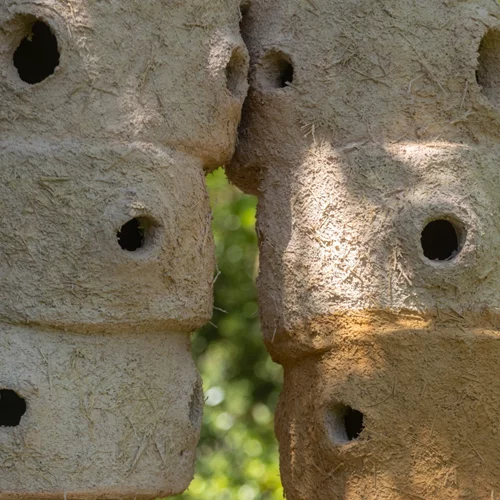 Παράξενα γλυπτά κοσμούν τον κήπο του Μεγάρου Μουσικής