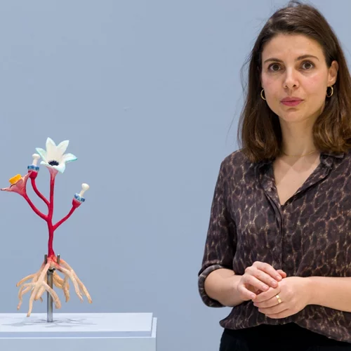 Κυριακή Γονή, γιατί οι φωνητικοί βοηθοί είναι πάντα γένους θηλυκού;