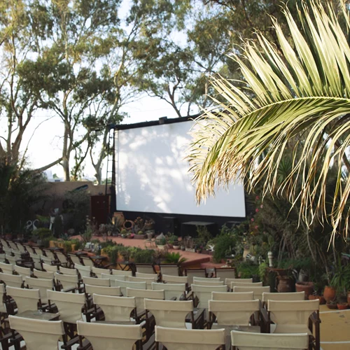 Με οδηγό το Φεστιβάλ Κινηματογράφου Σαντορίνης μαθαίνουμε τη Θήρα αλλιώς