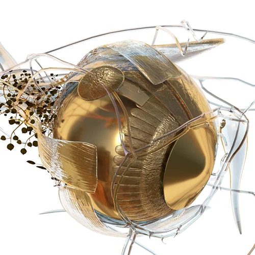 Τι δουλειά έχει μια έκθεση σύγχρονης τέχνης στο Νοσοκομείο Ερρίκος Ντυνάν;