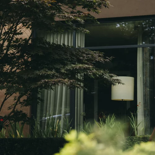 Το "Bugonia" του Γιώργου Λάνθιμου διεκδικεί Χρυσό Λέοντα στο Φεστιβάλ Βενετίας