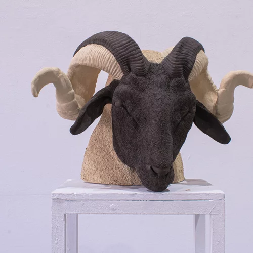 Εγκαίνια: Οι εκθέσεις της εβδομάδας (8-14/5)