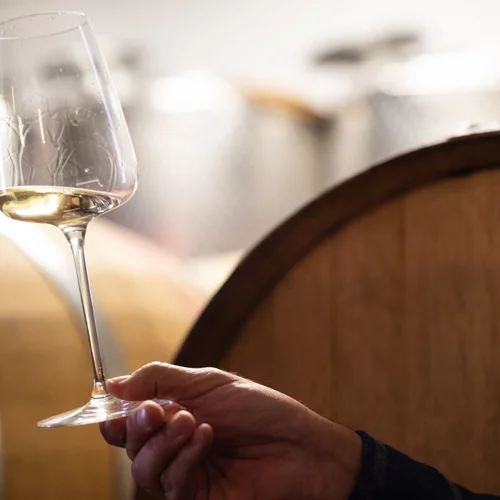 'Athens Wine & Art Festival': Tο μεγαλύτερο φεστιβάλ κρασιού και τέχνης στην Ελλάδα επιστρέφει