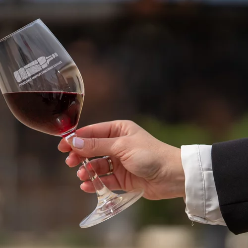 Οι μικροί οινοποιοί της Ελλάδας σε μια μεγάλη έκθεση