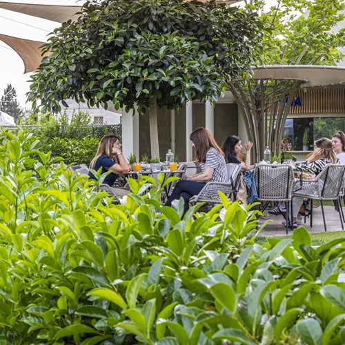 "Fellows": Comfort dining στον αστικό κήπο της Ριζάρη