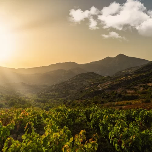 Λένε πως αυτή η περιοχή είναι η "Τοσκάνη της Ελλάδας"