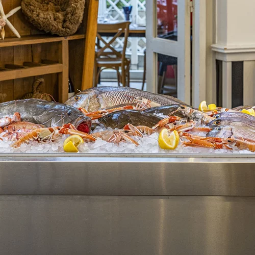 Video walkthrough: Η Ναταλία Δραγούμη απολαμβάνει ολόφρεσκα "Ψαράκια και Θαλασσινά" στη Βάρκιζα