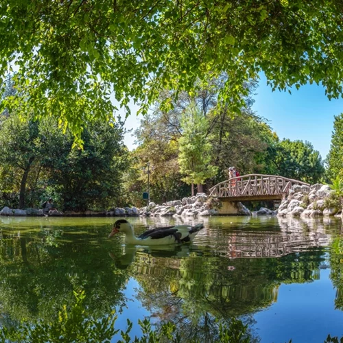 Αγαπημένα σποτ και διαδρομές για βόλτα και πεζοπορία στην πόλη