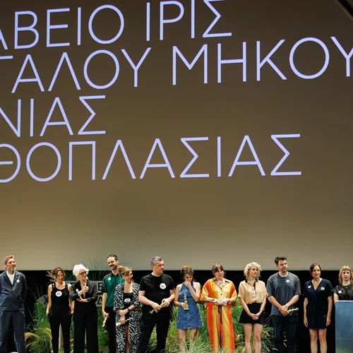 Εμπορικό "εναντίον" καλλιτεχνικού σινεμά στα 16α βραβεία Ίρις