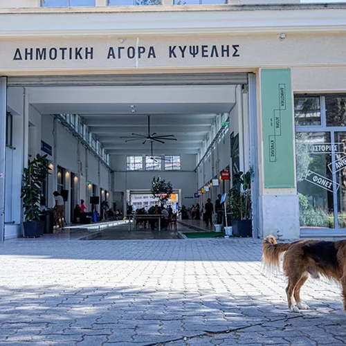 Ο Οκτώβριος είναι πιο ωραίος στη Δημοτική Αγορά Κυψέλης