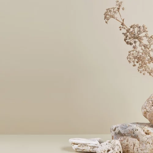 Συνθέσεις της παραδοσιακής τέχνης "IKEBANA" στην Πινακοθήκη Γκίκα