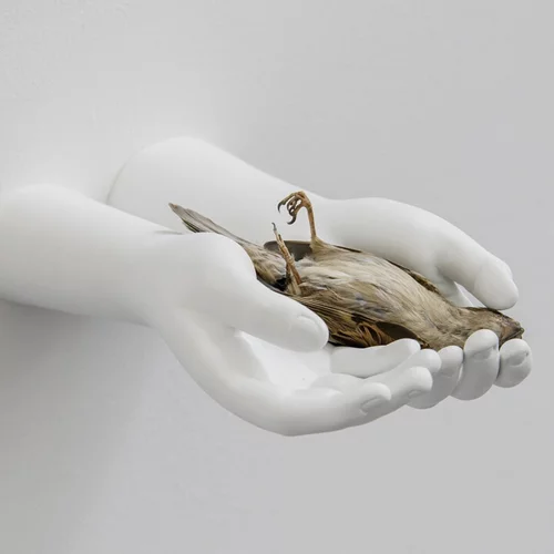 Συμβολισμοί για τη Μητέρα Φύση στη φετινή Μπιενάλε της Μπανγκόκ