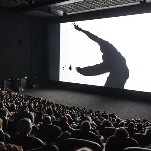 Αναζητούνται θεατές: Πώς θα γεμίσουν ξανά τα σινεμά; Η Tulip Entertainment απαντά