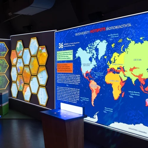 Νέα διαδραστική έκθεση για τη βιοποικιλότητα στο Μουσείο Φυσικής Ιστορίας Γουλανδρή