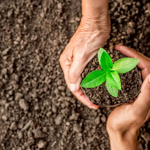 Σαββατοκύριακο στο φεστιβάλ "Περιβαλλο-Τεχνήματα"