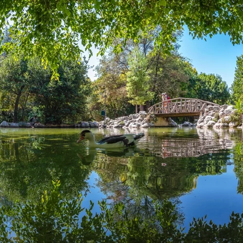 Περίπατος για παιδιά και γονείς στον Εθνικό Κήπο με τη συγγραφέα Σοφία Αλεξίου