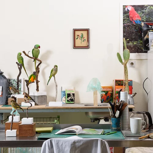 Γιώργος Γεροντίδης: "Η εμπορευματοποίηση της φύσης μάς απομακρύνει από αυτό που ανήκουμε"