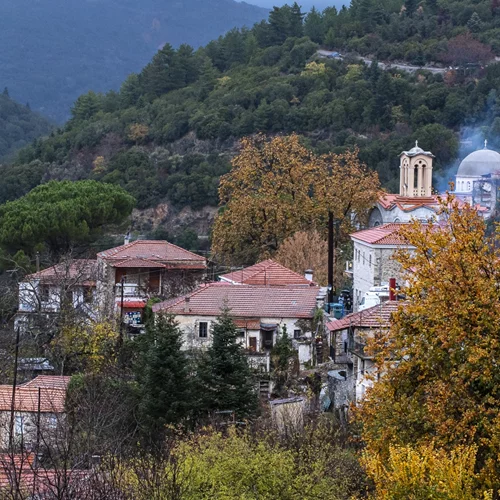 Αποκριάτικη διάθεση στη Βαμβακού Λακωνίας
