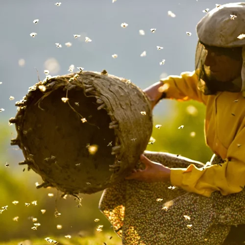 Μεγάλο αφιέρωμα στο σινεμά παρατήρησης από το 25ο Φεστιβάλ Ντοκιμαντέρ Θεσσαλονίκης