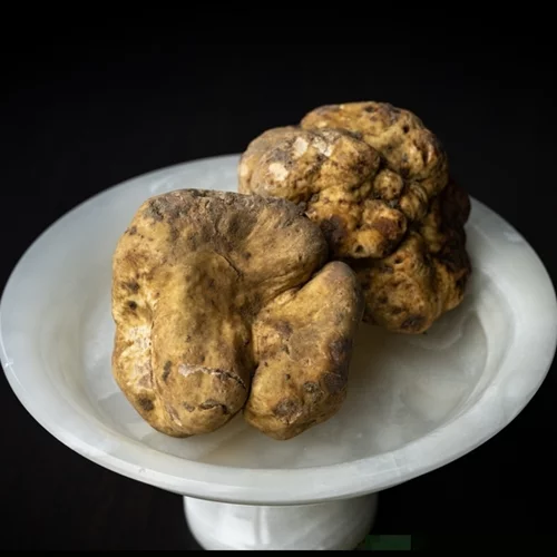 Ταξίδι στην Άμπα της Ιταλίας με αφορμή τη διεθνή έκθεση λευκής τρούφας