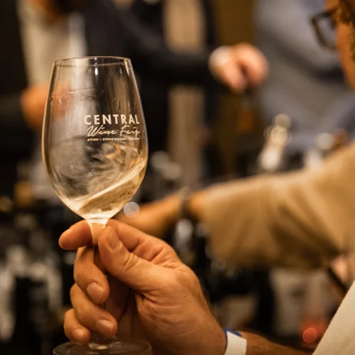 Ο αμπελώνας της Κεντρικής Ελλάδας στην Αίγλη Ζαππείου