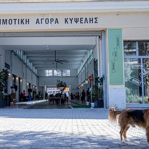 Ιούλιος στη Δημοτική Αγορά Κυψέλης