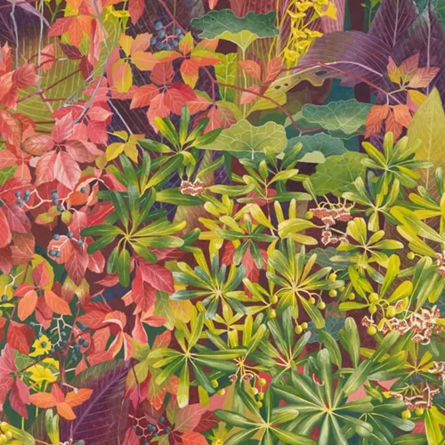 "Hidden Paradise": Η Τζάνετ Λιοδάκη μάς φέρνει πιο κοντά στη φύση