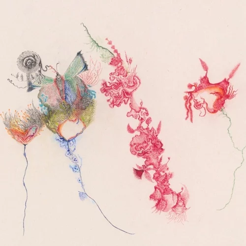 "Belly of the Fish": Αναζητώντας την εξέλιξη μέσα σε έναν κόσμο γεμάτο σουρεαλισμό