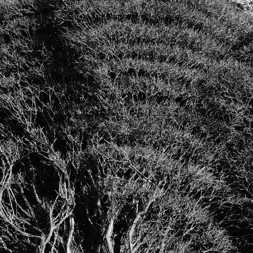 Το "Flashbang" του Κώστα Χριστόπουλου διερευνά τα όρια ύλης και μνήμης