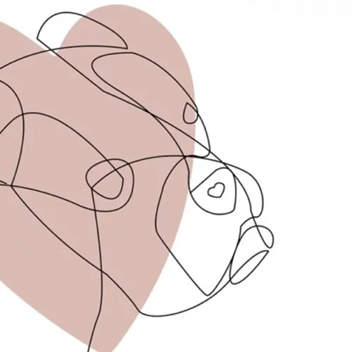 "Οίτη: Η σκυλίτσα που ήθελε να πετάξει": Μια τρυφερή ιστορία για την απώλεια κυκλοφορεί από τις εκδόσεις Lebee