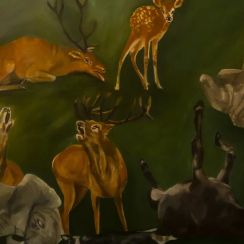 "Sauvage": Η Όλγα Καραδήμου εξερευνά την άγρια πλευρά της φύσης