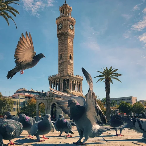 Ιόνια Διαδρομή: Από τη Σμύρνη στα μυστικά της αρχαίας Ιωνίας