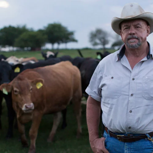 Το ντοκιμαντέρ "Φαγητό και χώρα" δίνει φωνή σε οραματιστές αγρότες και σεφ που κάνουν τη βιωσιμότητα πράξη