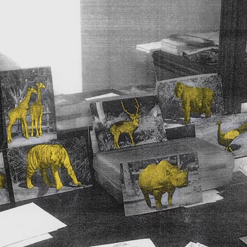 "Δικαιοσύνη για τη μη ανθρώπινη ζωή" απαιτεί το ΕΜΣΤ με τη νέα του έκθεση