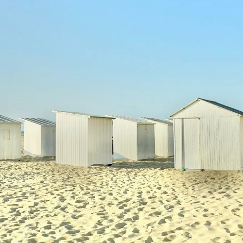 "Frames, Impressions, Emotions": Απαθανατίζοντας το συναίσθημα της στιγμής