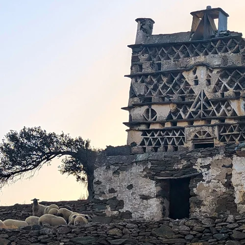 Δέκα νέα προγράμματα του "Cycladic Identity" ξεκινούν σε οκτώ νησιά των Κυκλάδων