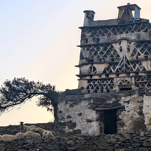 "Σπάνιες Γαίες": Το φετινό art gathering της Τήνου δεν το χάνεις