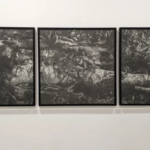 "Home: My nest, my noose": Εστιάζοντας στην αίσθηση της χαμένης οικειότητας