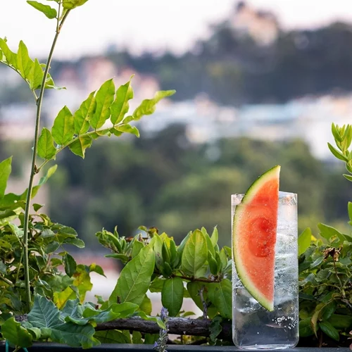 Ο σχεδόν κρυμμένος, 'κρεμαστός' κήπος του Ψυρρή