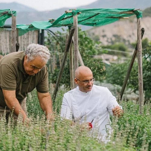 Μία νέα γαστρονομική εμπειρία από το "Soil" στο Αλεποχώρι