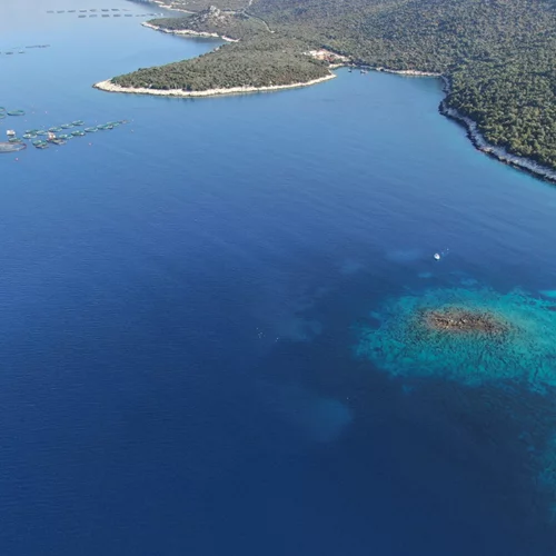Υποβαθμίζονται σημαντικά τα λιβάδια Ποσειδωνίας σε Ξηρόμερο και Κάλαμο λόγω ιχθυοκαλλιεργειών