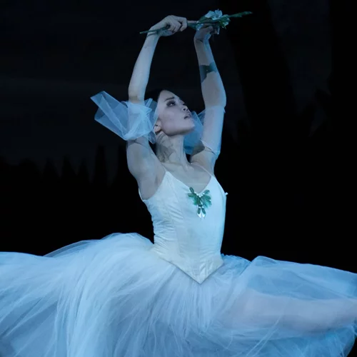 "Black Swan": Παράσταση εμπνευσμένη από τη "Λίμνη των Κύκνων" στο Christmas Theater