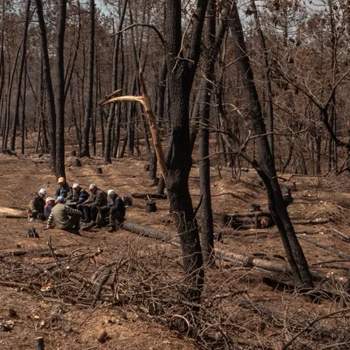 "Beyond Destruction – Ρόδος, Θεσσαλία, Έβρος": Ανθεκτικότητα και ελπίδα μετά τις καταστροφές του 2023