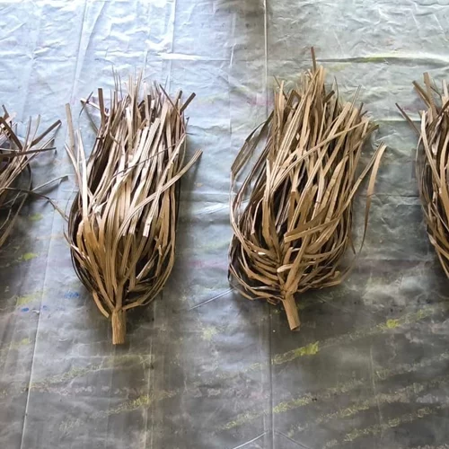 Παρασιτικά έργα καταλαμβάνουν μια γκαλερί στην Ακρόπολη