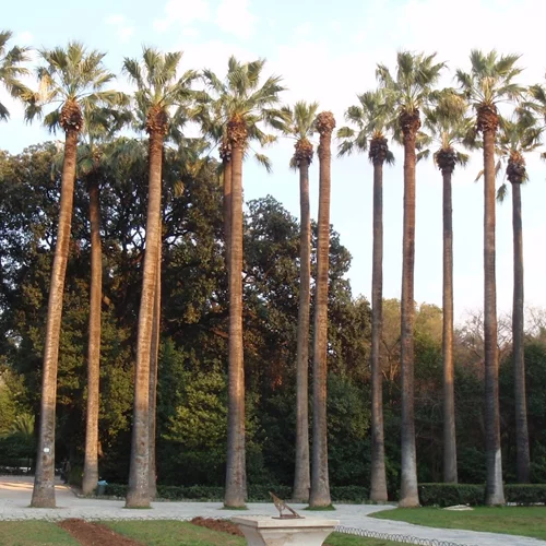 Εξερευνήστε τη βιοποικιλότητα του Εθνικού Κήπου