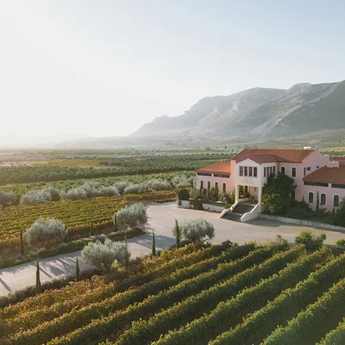 Μουσική, Τέχνη και Γαστρονομία συναντιούνται, συνδέονται και εκφράζονται στο Κτήμα Σκούρα