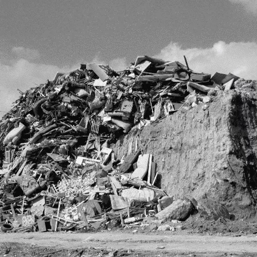 Ο Δημήτρης Τρίκας αναβιώνει τη γειτονιά του Ελαιώνα με έναν αναπάντεχο τρόπο, ταξιδεύοντάς μας στο χθες και το σήμερα της περιοχής